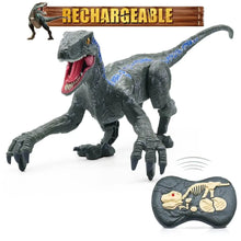 RC Electric Walking Jurassic Dinosaur Toy