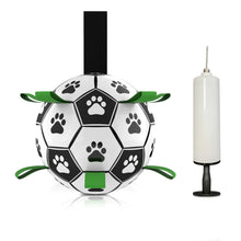 Dog Football Toys