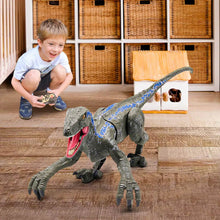 RC Electric Walking Jurassic Dinosaur Toy