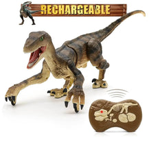 RC Electric Walking Jurassic Dinosaur Toy