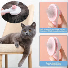 Pet Brush FLIXME WORLD