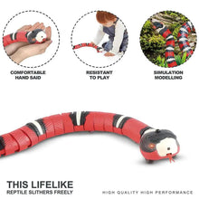 Electronic Snake Interactive Cat Toys