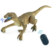 RC Electric Walking Jurassic Dinosaur Toy