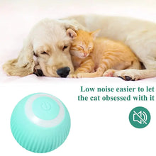 Smart Ball Toys For Cat And Dog FLIXME WORLD