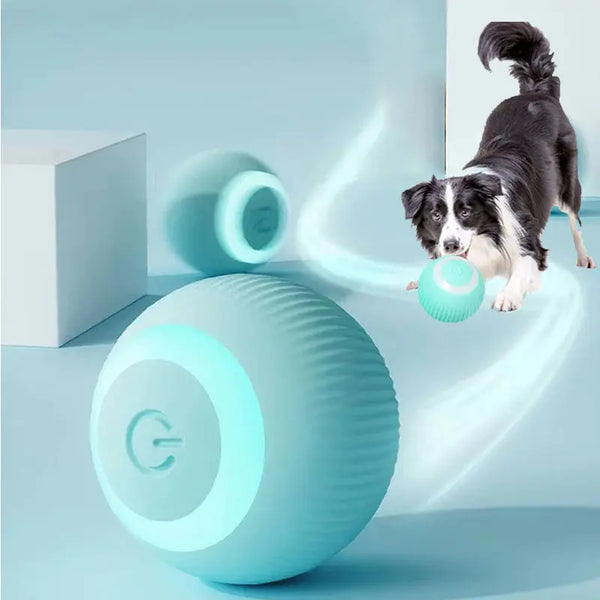 Smart Ball Toys For Cat And Dog FLIXME WORLD