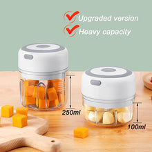 Mini Electric Garlic Chopper FLIXME WORLD