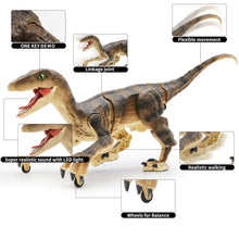 RC Electric Walking Jurassic Dinosaur Toy