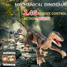 RC Electric Walking Jurassic Dinosaur Toy