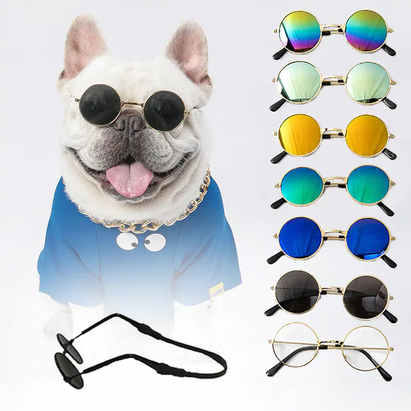 Protect Your Pet's Eyes with Stylish Pet Sunglasses FLIXME WORLD